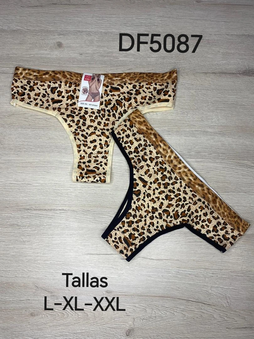 Ref. DF5087