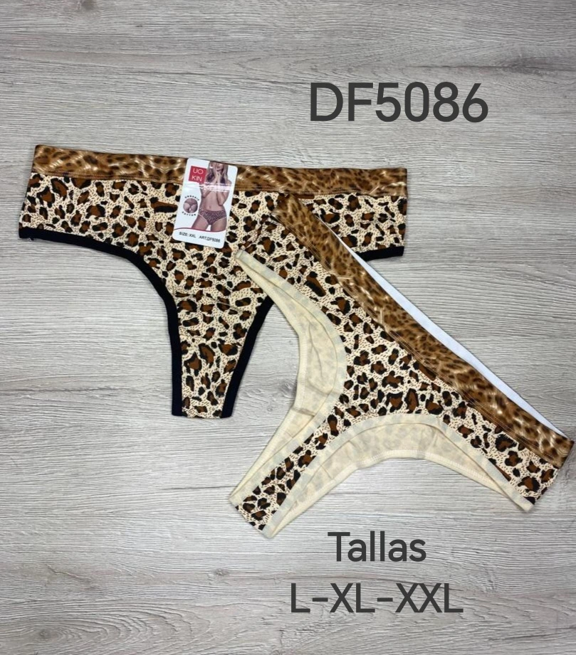 Ref. DF5086