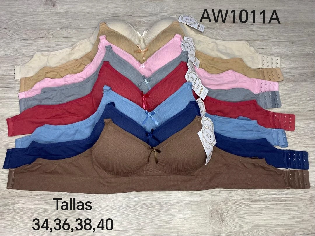 Ref. AW1011A